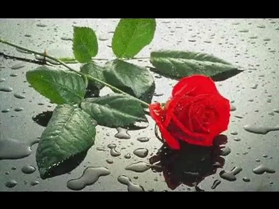 GELİNCİK ( SUÇUMUZ NEYDİ BİZİM )