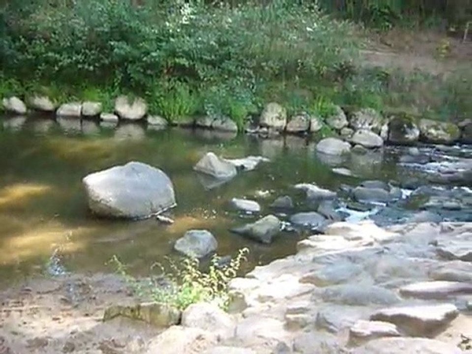 Charlène et Kermit Jouent dans l'eau