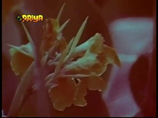 Sannata (1981) - Sun Jaane Jaan - Udit Narayan & Alka Yagnik