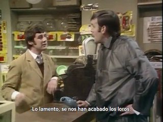 Monty Python - Loro Noruego (Subtitulado)