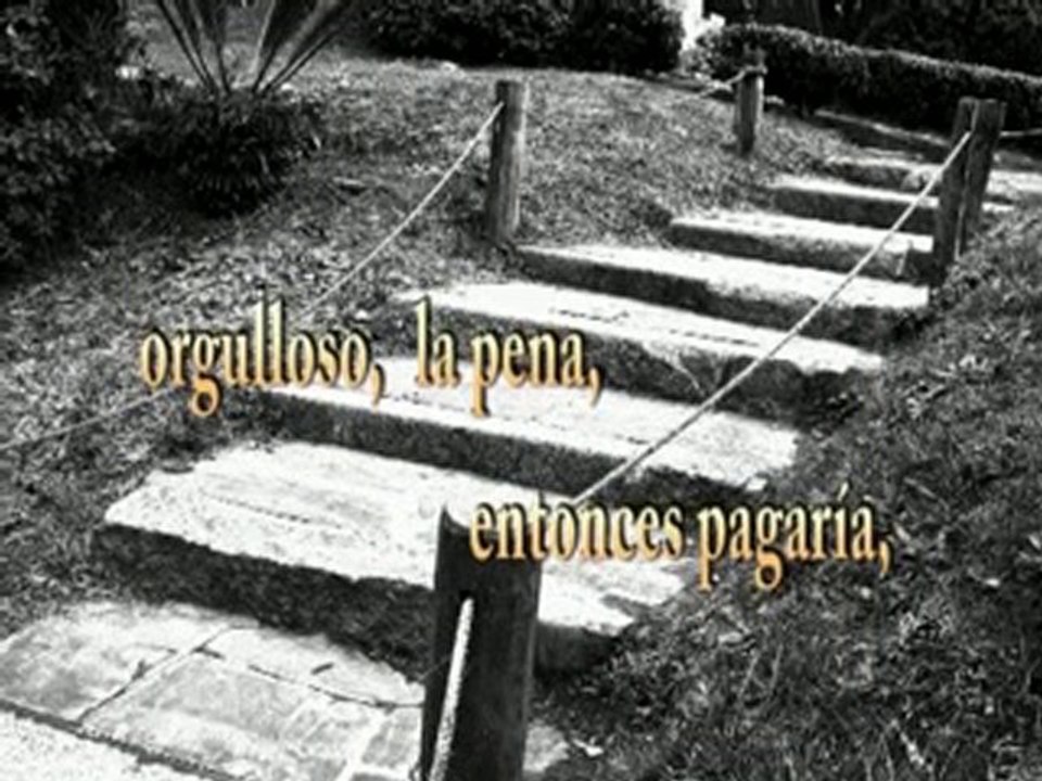 Video Poesia