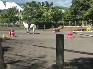 chute de cheval version judo!