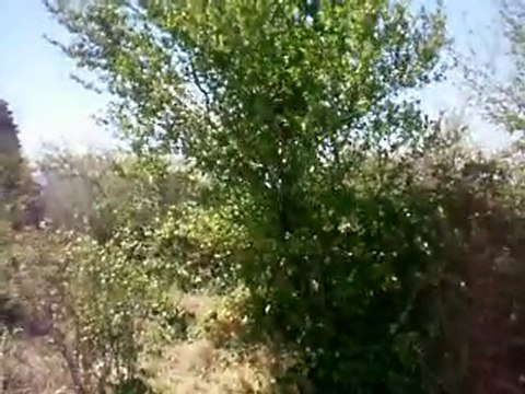 ortaköy kilisesi geyve