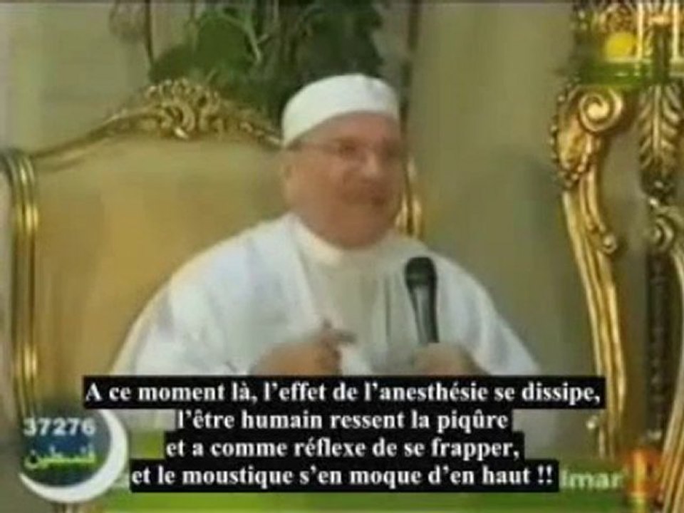 (islam) Le moustique: est-il vraiment aussi insignifiant?