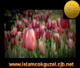 Allahumme Salli ala  |  www.bilgelim.com