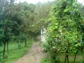 Alona Pazarönü Köyü Hasanağalar Mahallesi