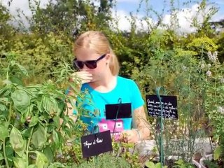 Chaumont sur Loire et Blois