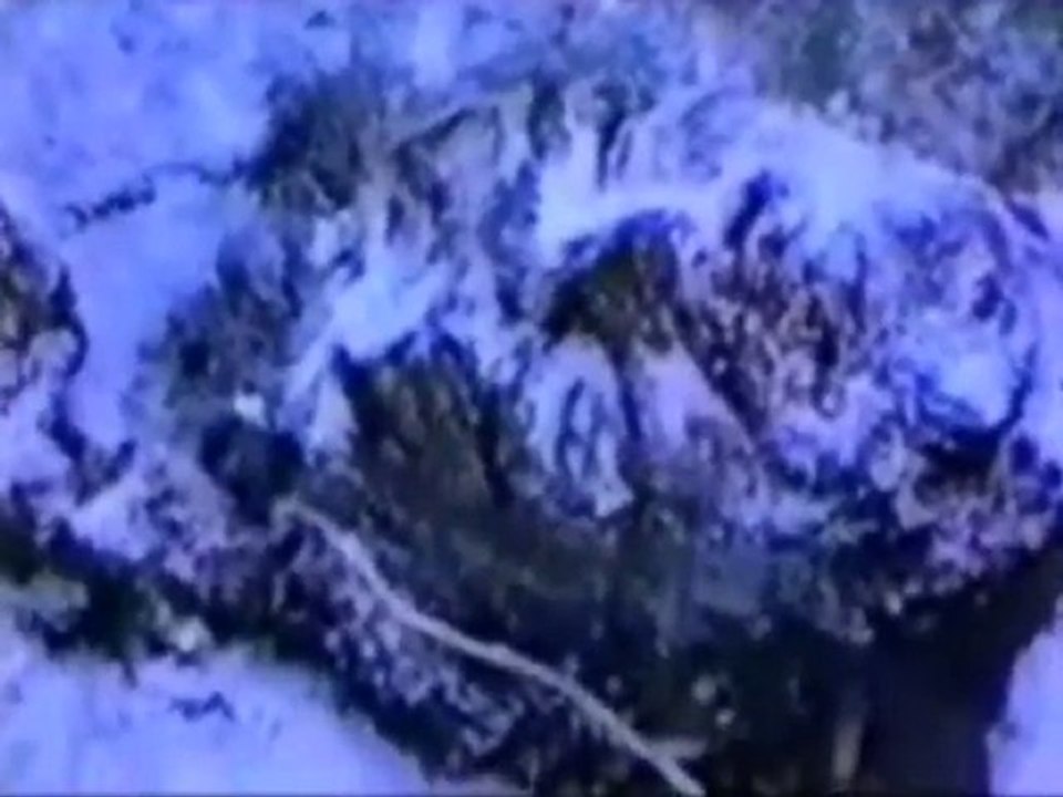 Ermenilerin Azerbaycan Katliamları