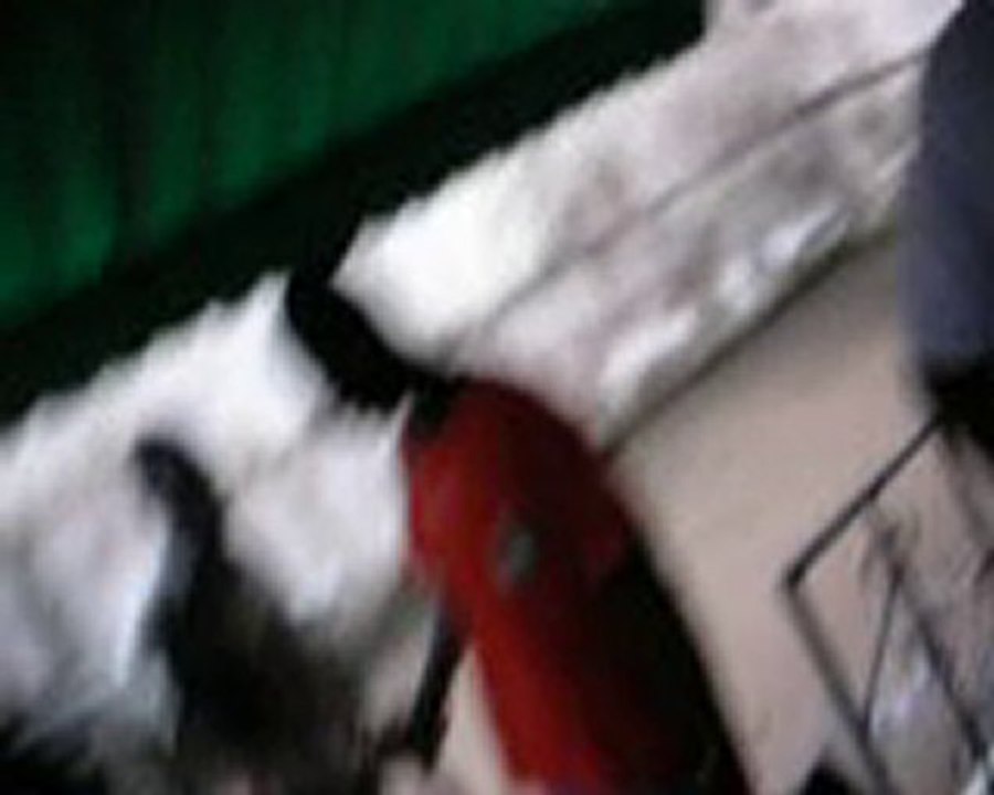 DSCN5447