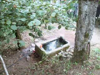 halilusagikoyu Gel sevdigim