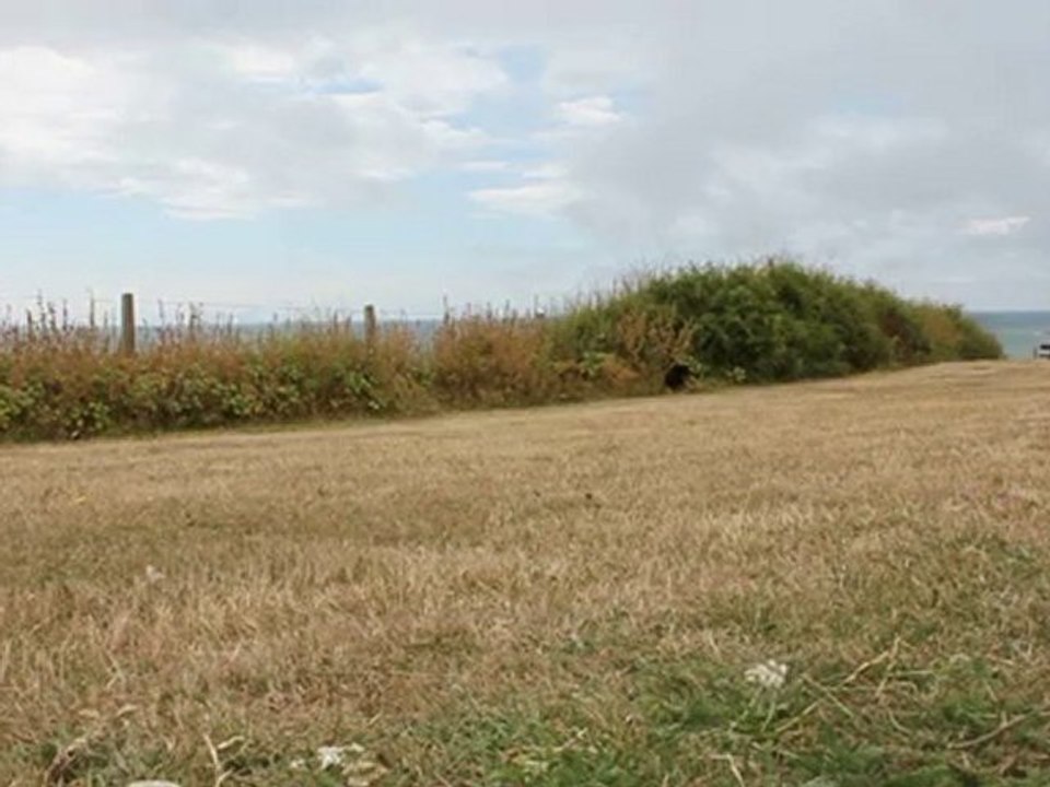 Canon EOS 550D/T2i DSLR- Test footage (Toy Turtle)