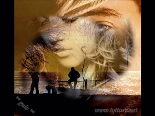 Seni Seviyorum siirli