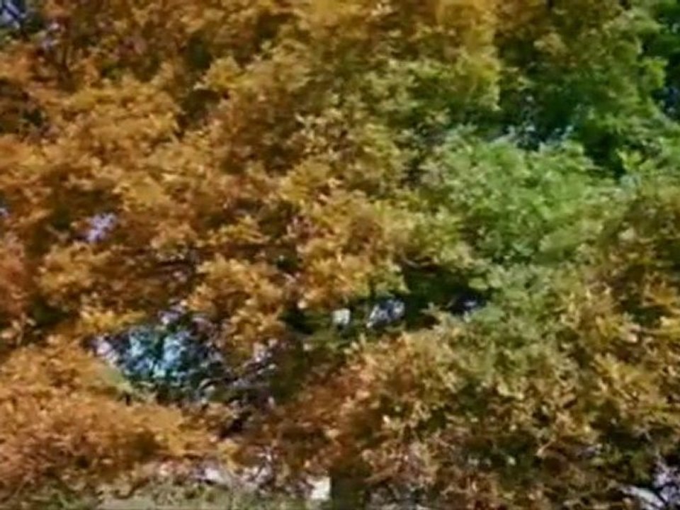 Erkeğin hanımı üzerindeki hakları - Dini Sohbetler