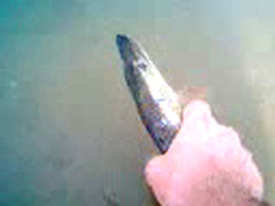 5.9.2010 turna avı