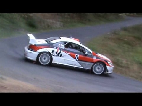 Rallye Velay Auvergne 2010