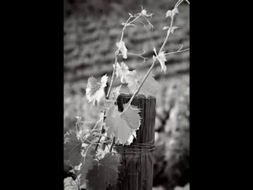 mamma jag älskar dig