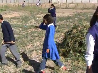 fidan bakım çalışmaları