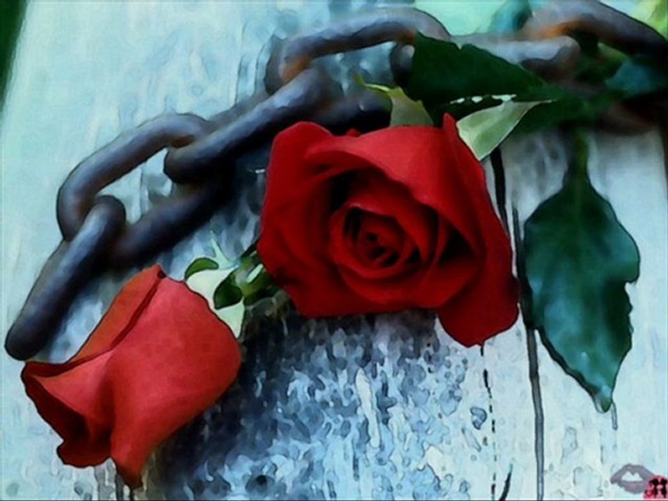 kenan-git bırakıp uzaklara