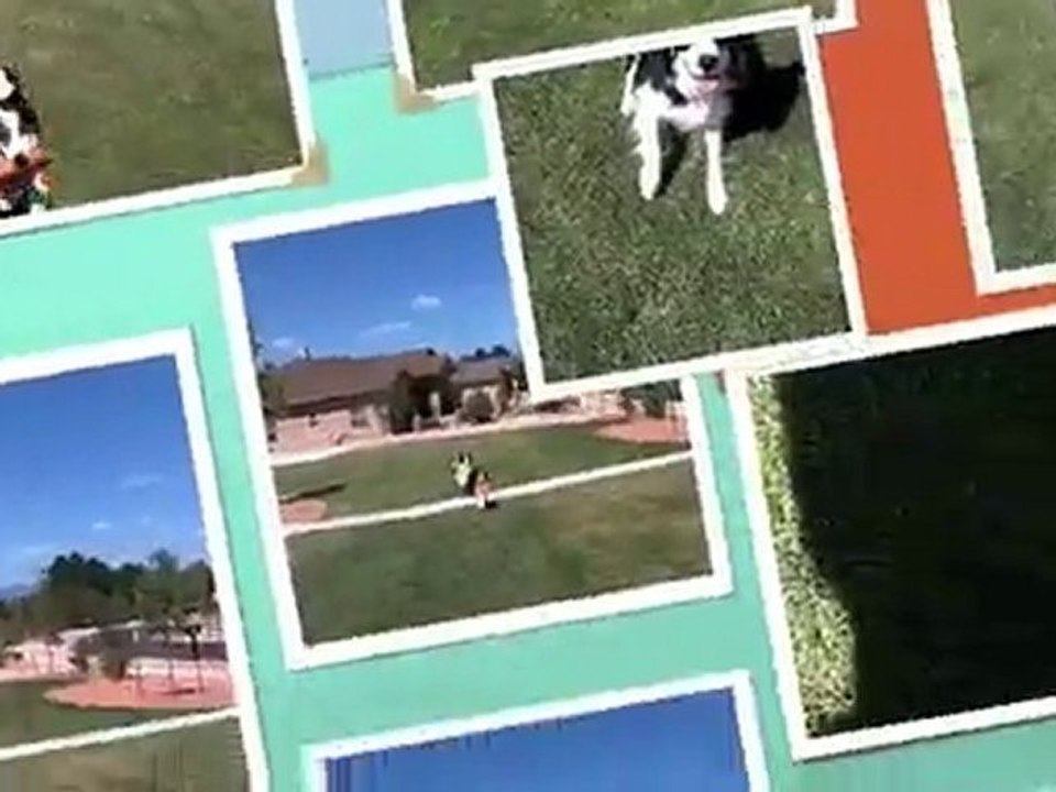frisbee 2