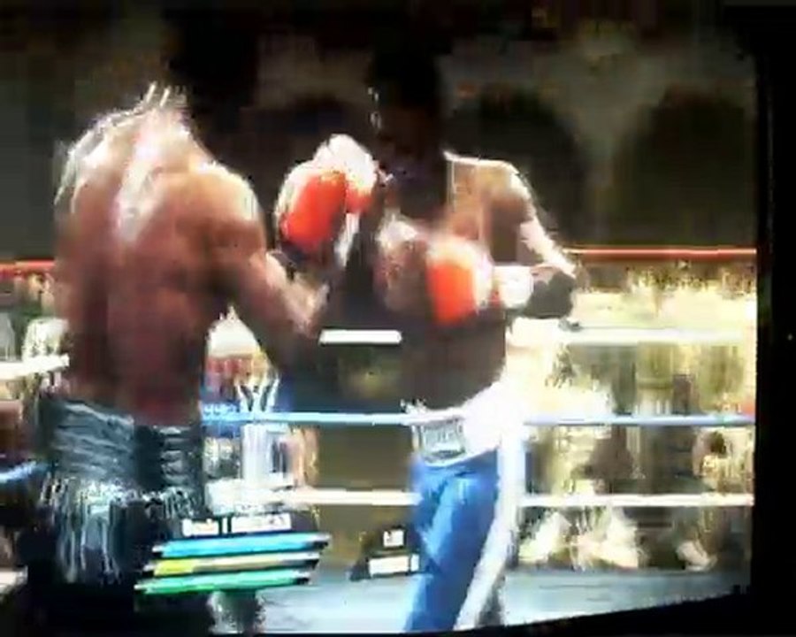 Seals I MOHICAN Fight Night
