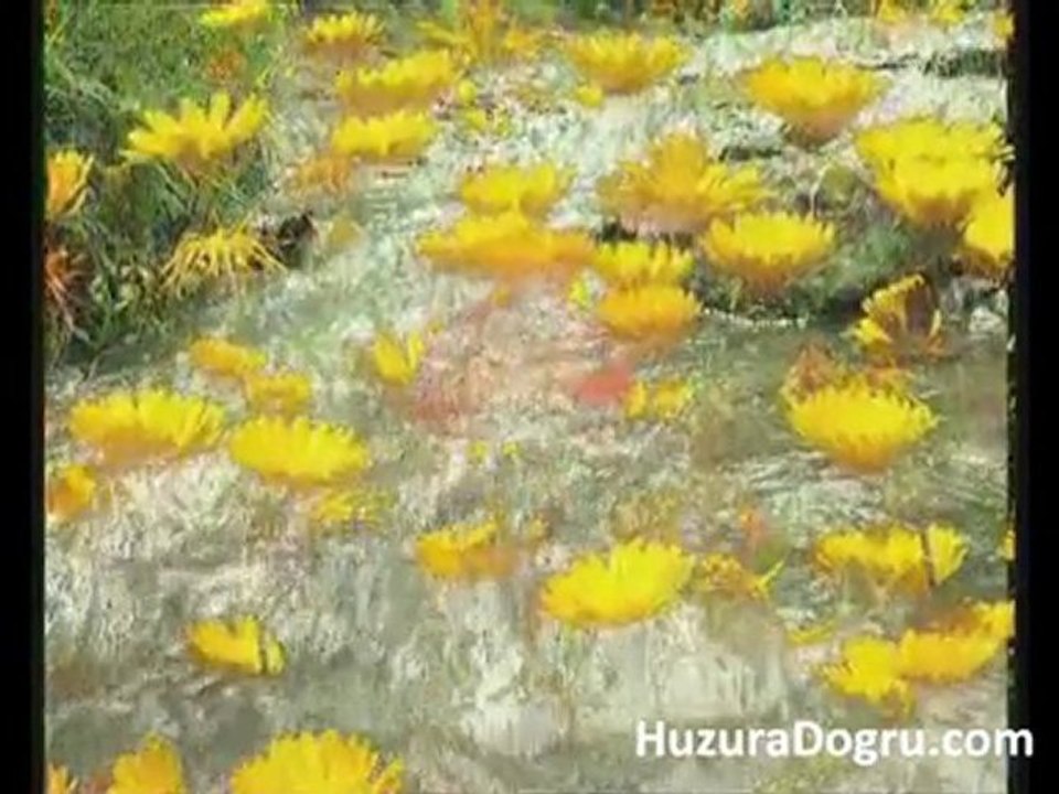 İlahi *Gül Ahmedim*