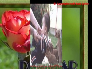 DOSTUM DOSTUM FON MÜZİĞİ