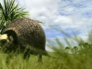 Marche avec les animaux - Dents de sabre p1