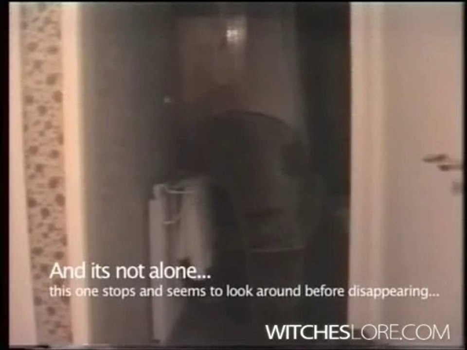Two Shadow like Ghost Filmed