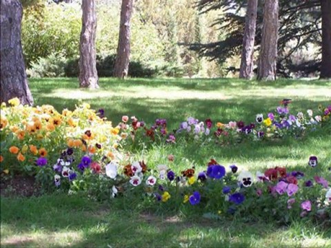 Hüdai Aksu-Aşkın Beni Yakıyor