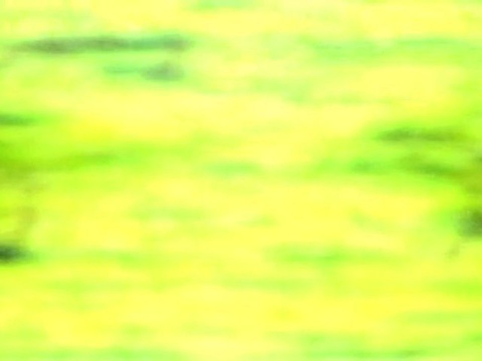 ALBIN DE LA SIMONE  " les vaches "