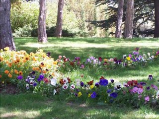 Nesrin Sipahi-Ankara Rüzgârı