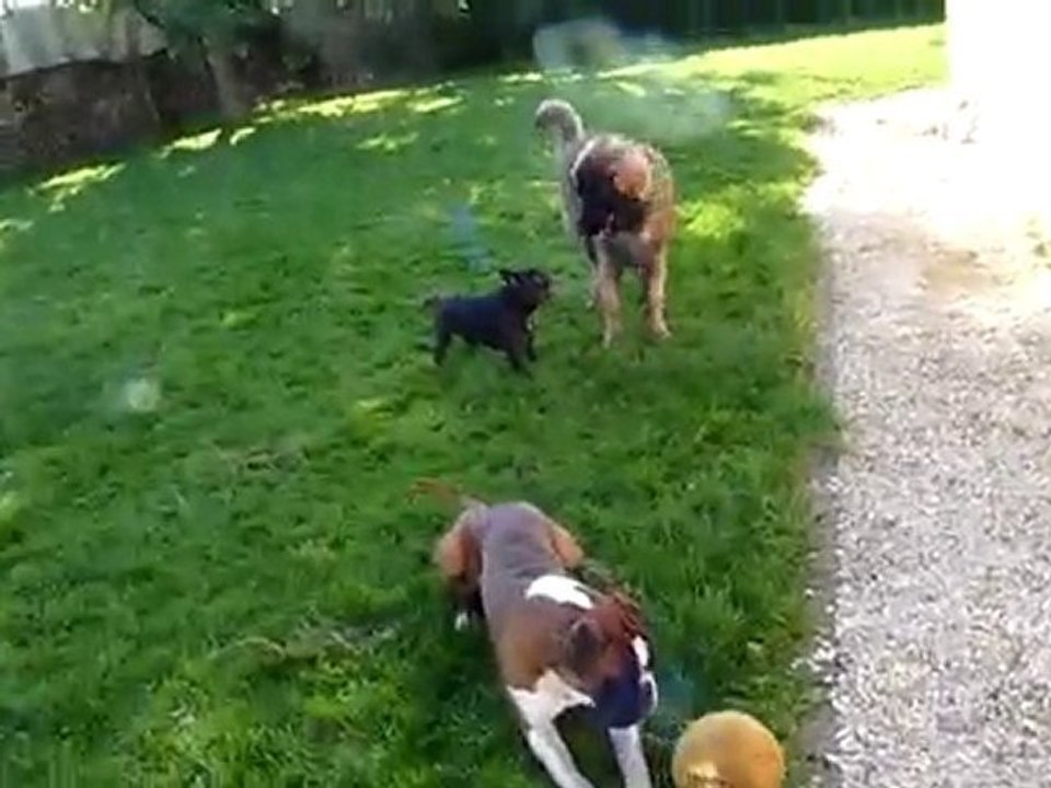 Floyd avec Dexter et Seven 05.09.10