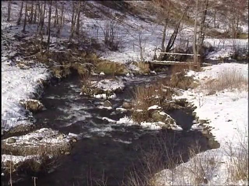 Voyage aux pays de l'eau