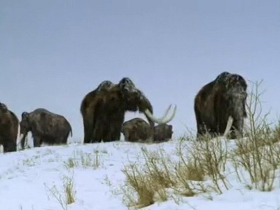 Marche avec les animaux - Mammouth et les hommes p1