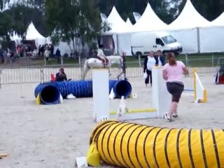 selectif trophée par équipe fontainebleau 5/6juin 2010