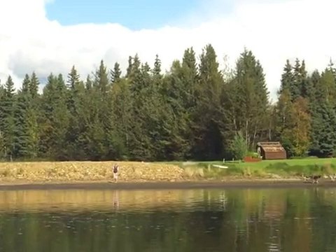 Faire du ski nautique avec des chiens de traineaux