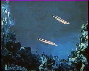 Les inventions de la vie 21 : Mon cher associé 2