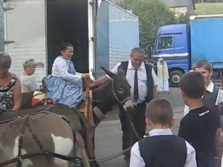 saint nicolas du pélem 002