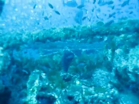 Plongée sur l'épave du Grec - Porquerolles - 05-09-10