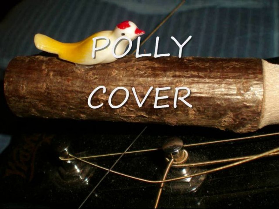 Polly - Nirvana cover