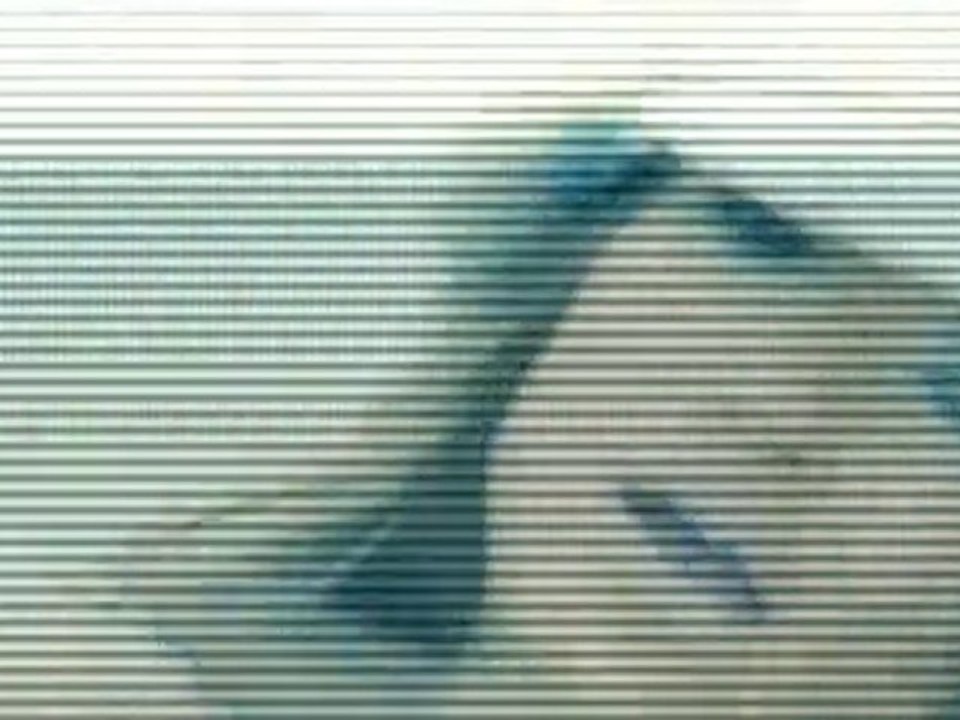 Lady GaGa Jennifer Lopez - Poker Face Jenny From The Block