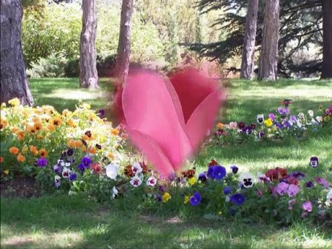 Nesrin Sipahi-Sevdiğim Dünyalar Kadar