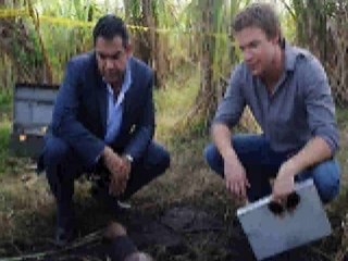 The Glades season 1 episode 9  Honey