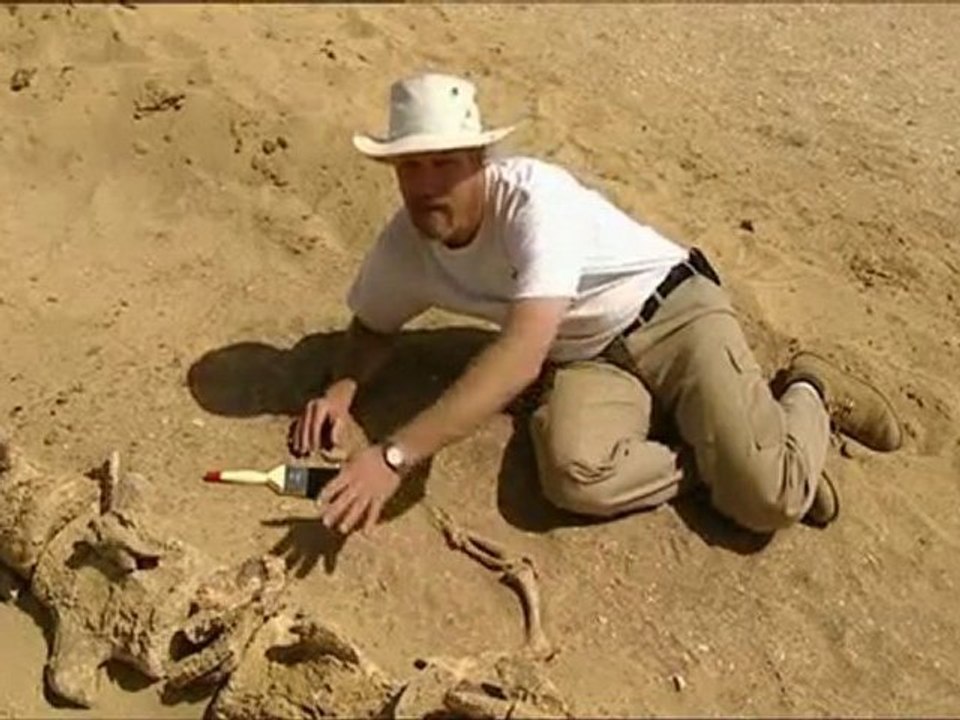 Marche avec les animaux - Le triomphe des mammiféres p2