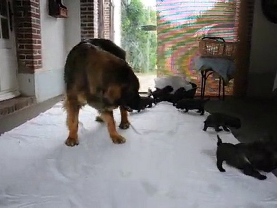 Liberté... liberté chérie !!!