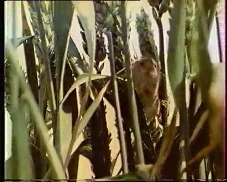 Les inventions de la vie 23 : Il y a longtemps que je sème 1