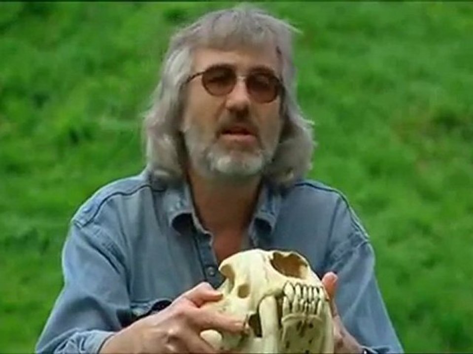 Marche avec les animaux - Le triomphe des mammiféres p3