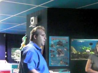 Soundari, un requin pas comme les autres