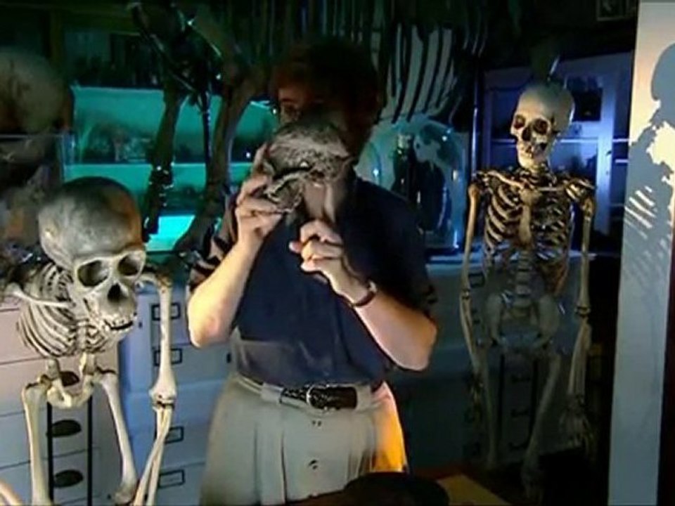 Marche avec les animaux - Un singe pas comme les autres p2