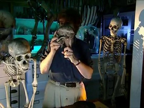 Marche avec les animaux - Un singe pas comme les autres p2